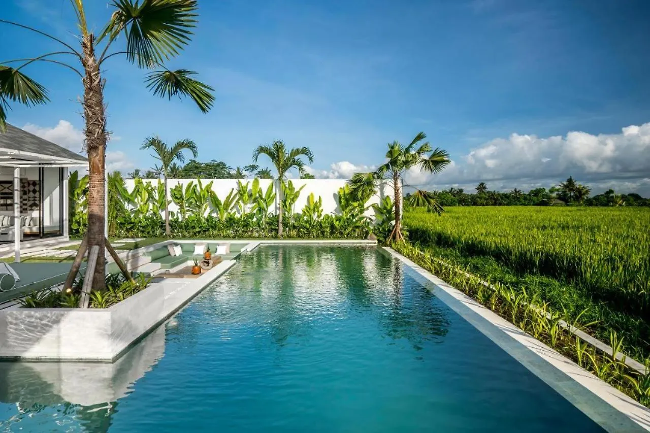 Vivalavida 6 Bedroom Luxurious Villa Ricefield View Cyn Ubud  Indonesia