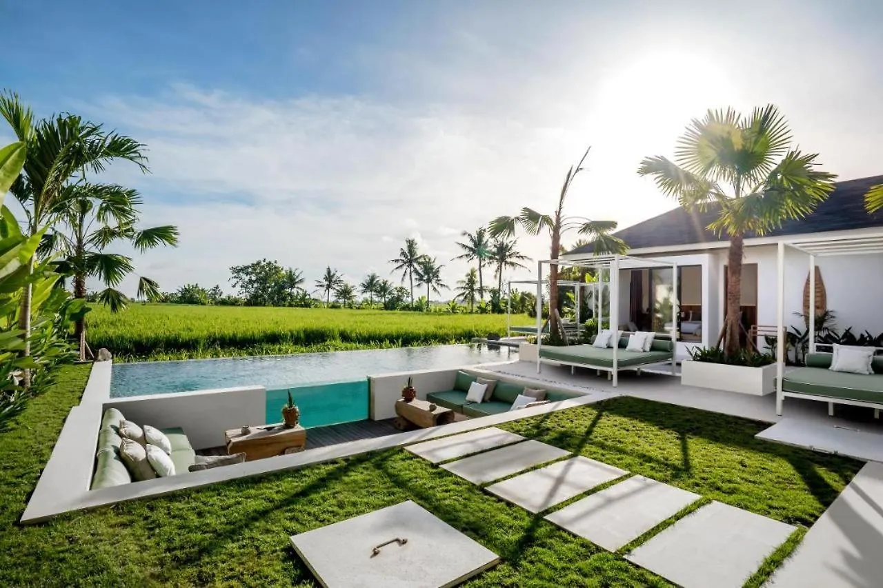 Vivalavida 6 Bedroom Luxurious Villa Ricefield View Cyn Ubud  Indonesia