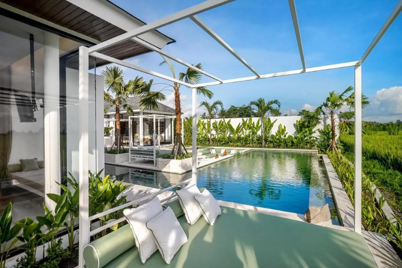 Vivalavida 6 Bedroom Luxurious Villa Ricefield View Cyn Ubud