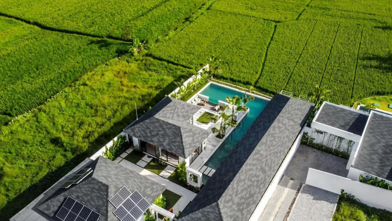 Vivalavida 6 Bedroom Luxurious Villa Ricefield View Cyn Ubud  0*, Ubud (Bali) Indonesia