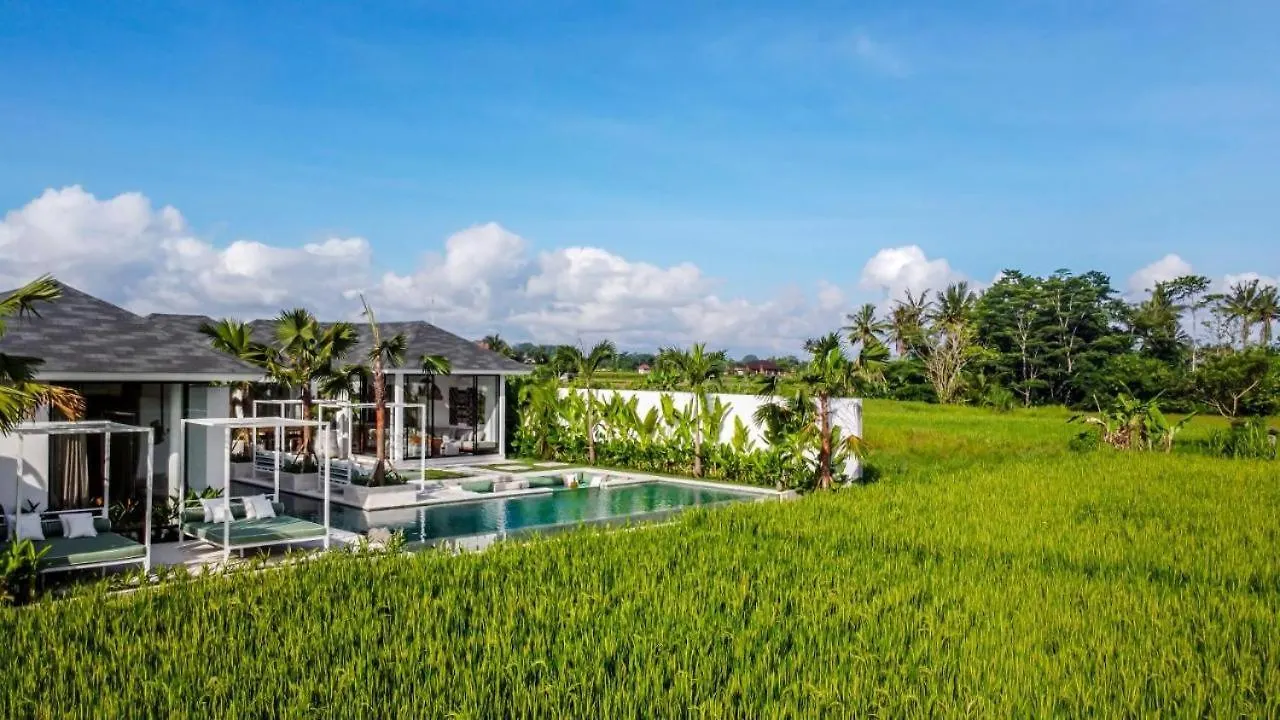 Vivalavida 6 Bedroom Luxurious Villa Ricefield View Cyn Ubud