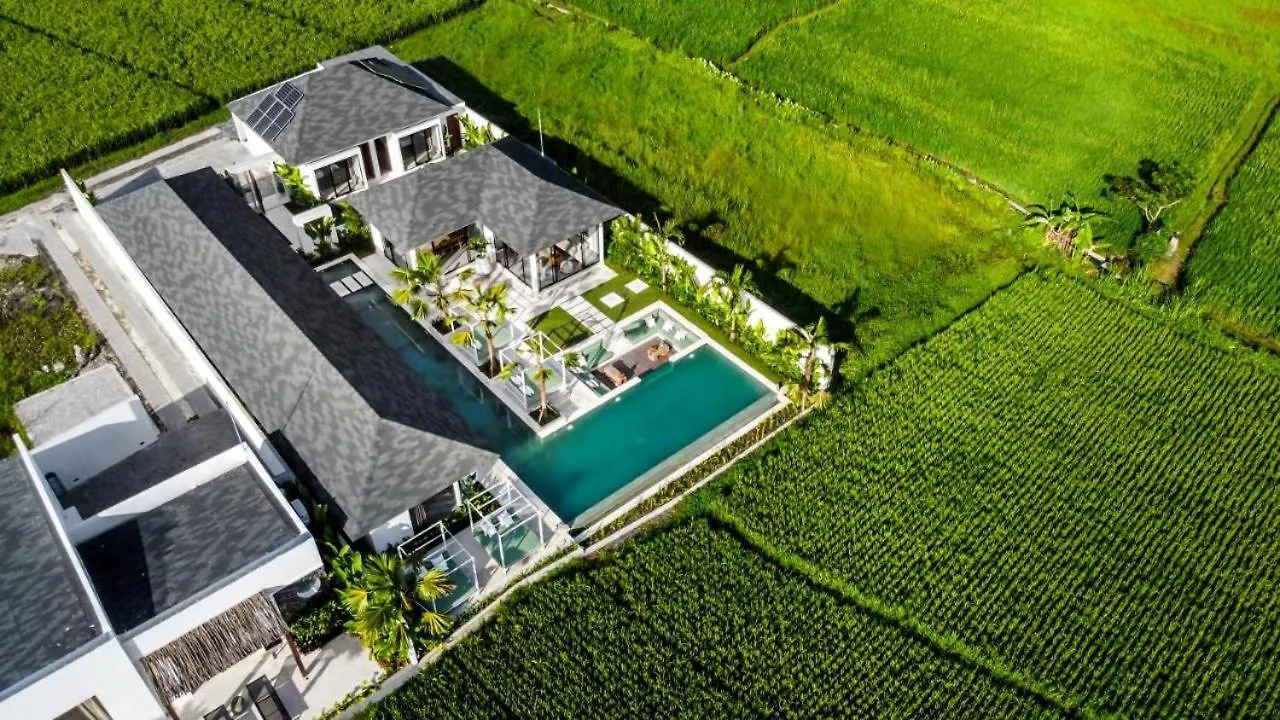 Vivalavida 6 Bedroom Luxurious Villa Ricefield View Cyn Ubud   Ubud (Bali)